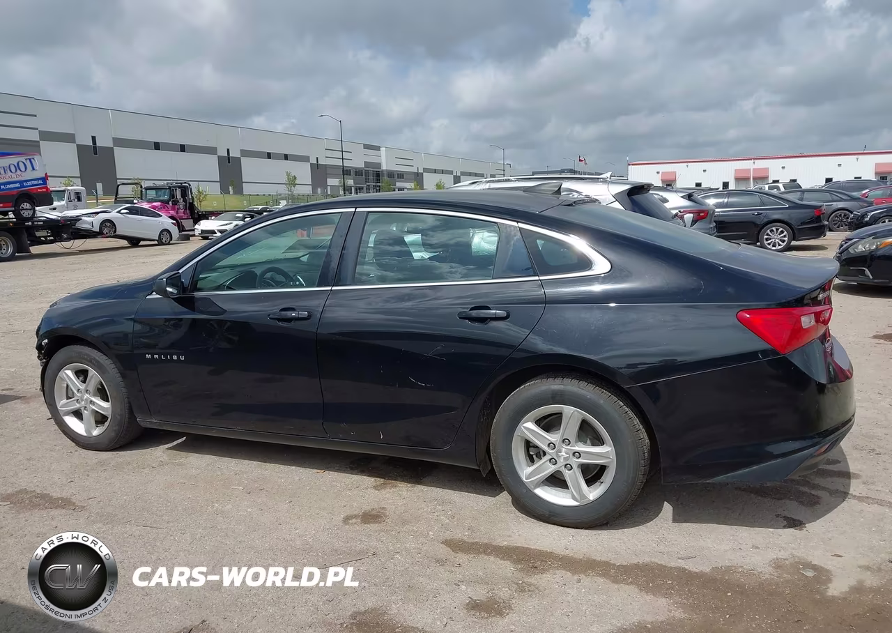 2019 Chevrolet Malibu 1Fl VIN:1G1ZC5ST3KF217876 - 14
