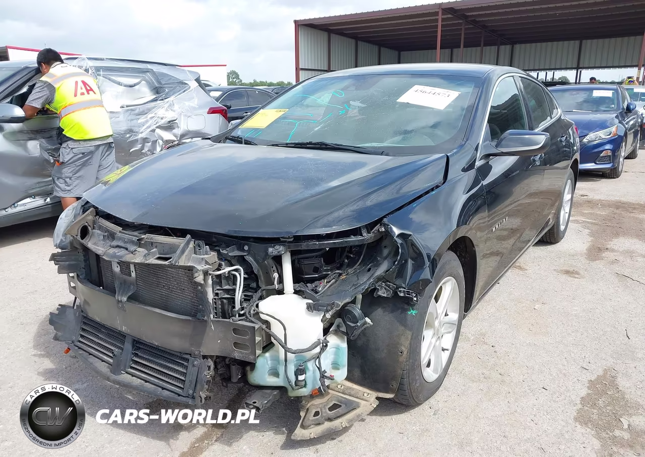 2019 Chevrolet Malibu 1Fl VIN:1G1ZC5ST3KF217876 - 2