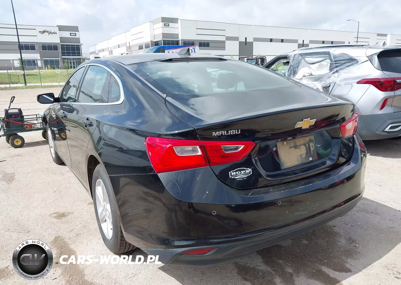 2019 Chevrolet Malibu 1Fl VIN:1G1ZC5ST3KF217876 - 3