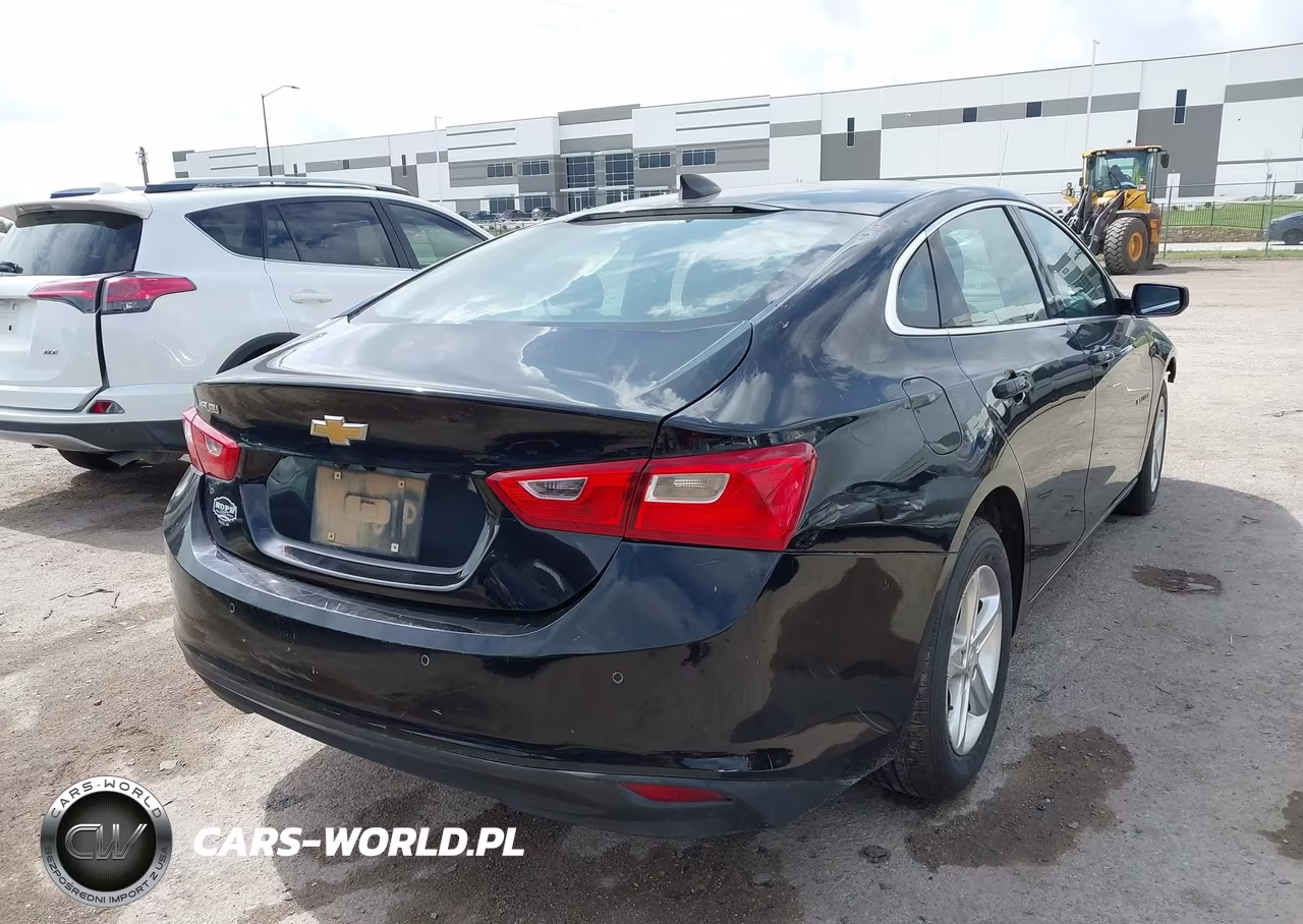 2019 Chevrolet Malibu 1Fl VIN:1G1ZC5ST3KF217876 - 4
