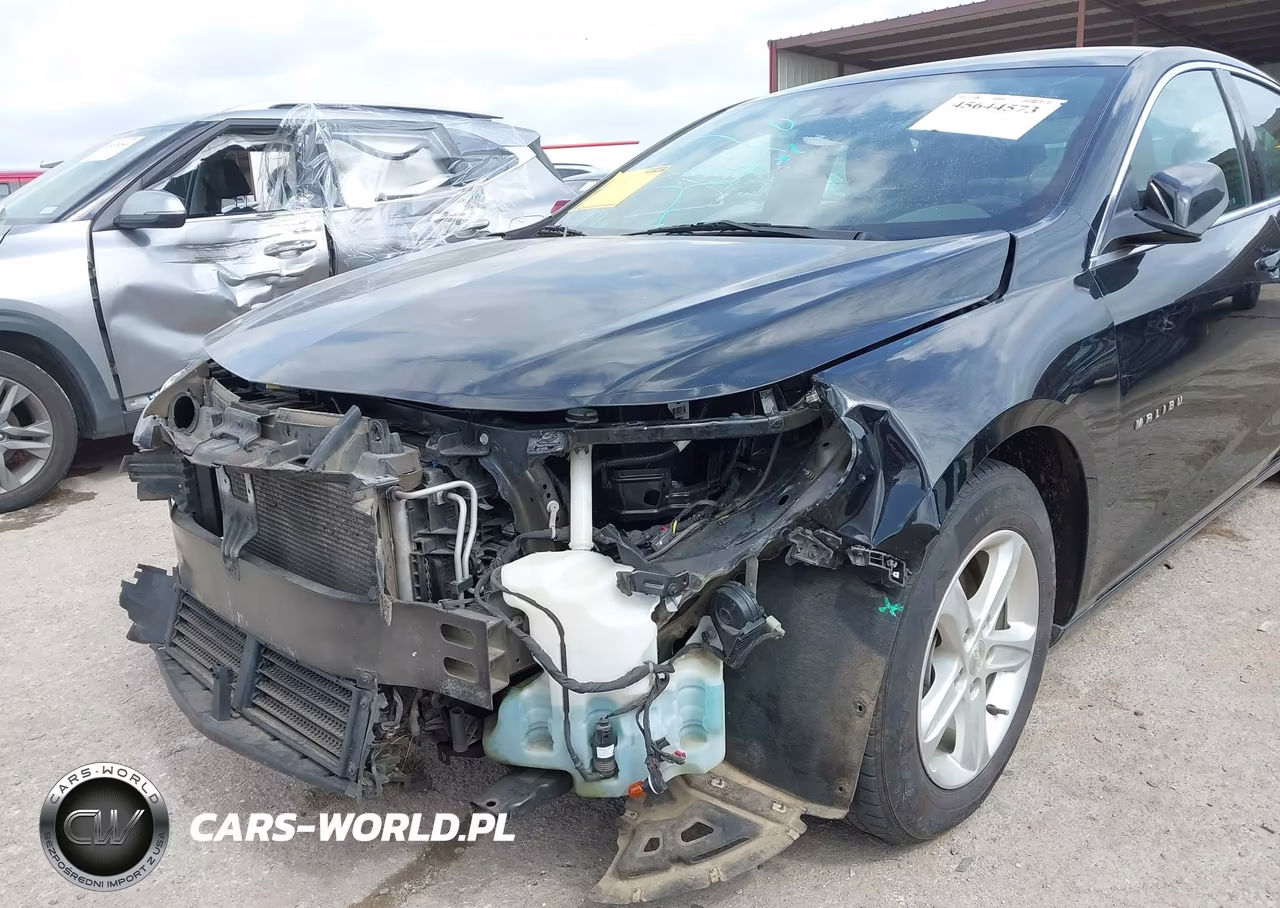 2019 Chevrolet Malibu 1Fl VIN:1G1ZC5ST3KF217876 - 6