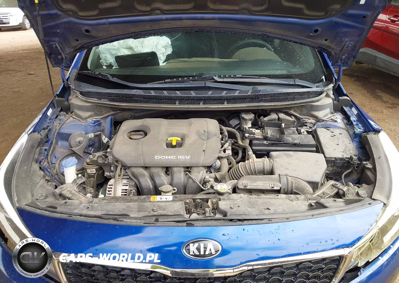 2017 Kia Forte Lx VIN:3KPFL4A70HE117309 - 10