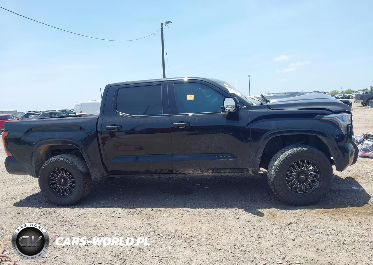 2024 Toyota Tundra Hybrid Platinum 4Wd VIN:5TFNC5DB8RX059498 - 13