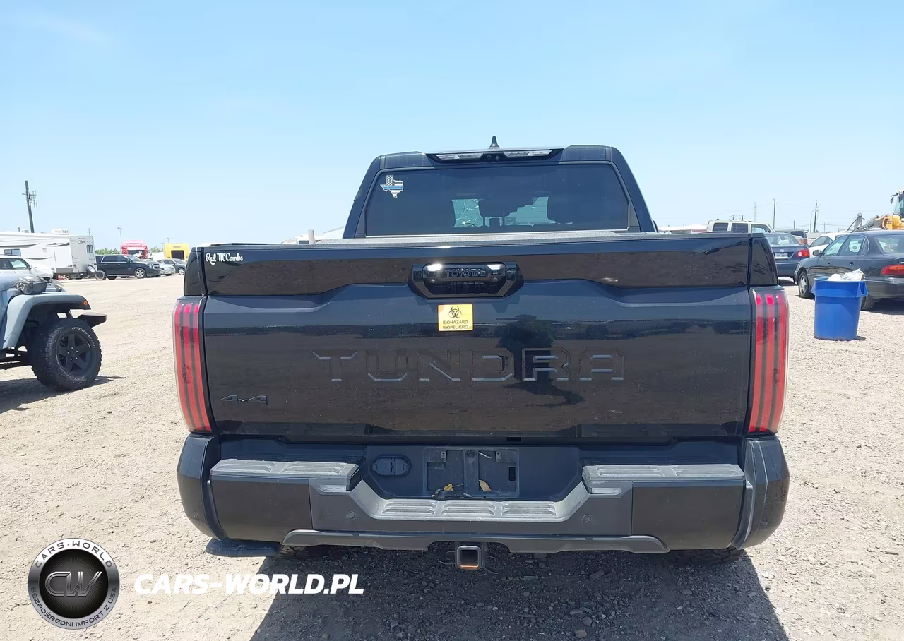 2024 Toyota Tundra Hybrid Platinum 4Wd VIN:5TFNC5DB8RX059498 - 16