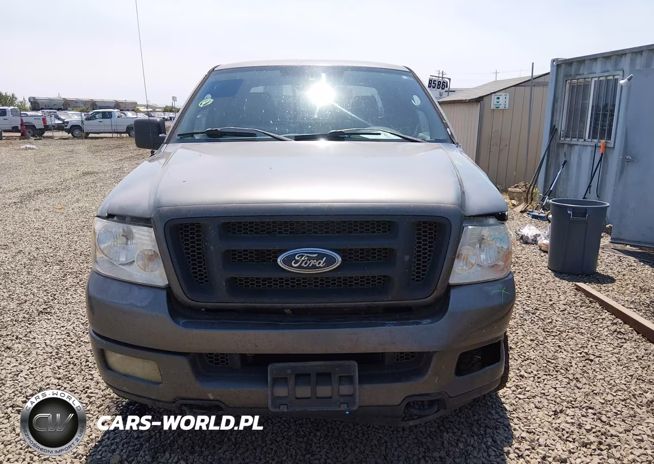 2004 Ford F-150 Fx4-Lariat-Xl-Xlt VIN:1FTPX14524NA44659 - 13