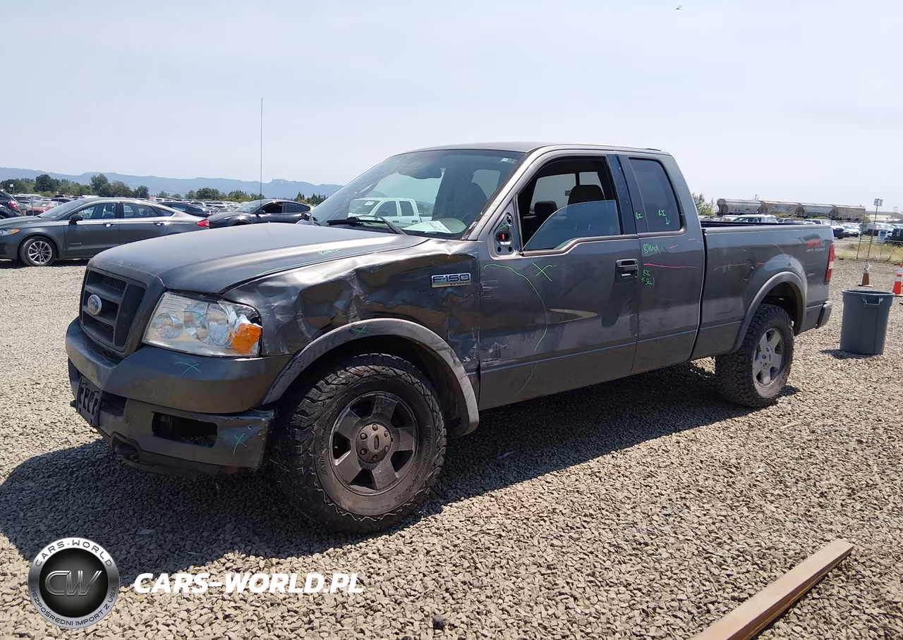 2004 Ford F-150 Fx4-Lariat-Xl-Xlt VIN:1FTPX14524NA44659 - 6