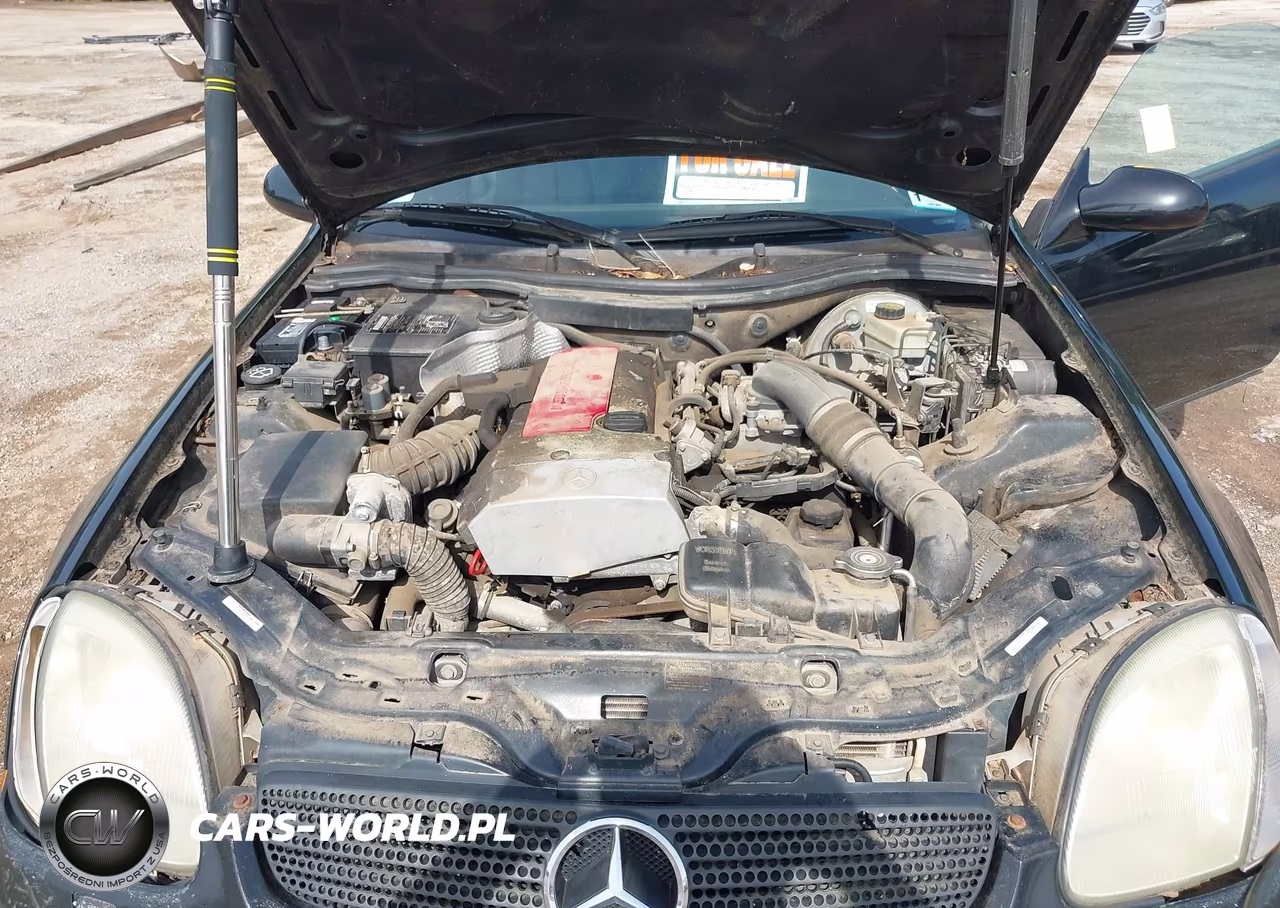 1999 Mercedes-Benz Slk 230 Kompressor VIN:WDBKK47F5XF111623 - 10
