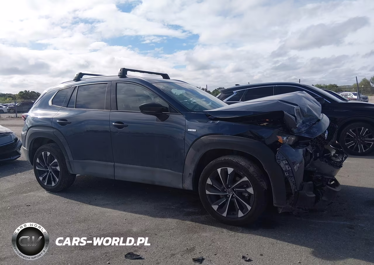 2025 Mazda Cx-50 Hybrid Premium Plus Package VIN:7MMVAAEW5SN136460 - 13
