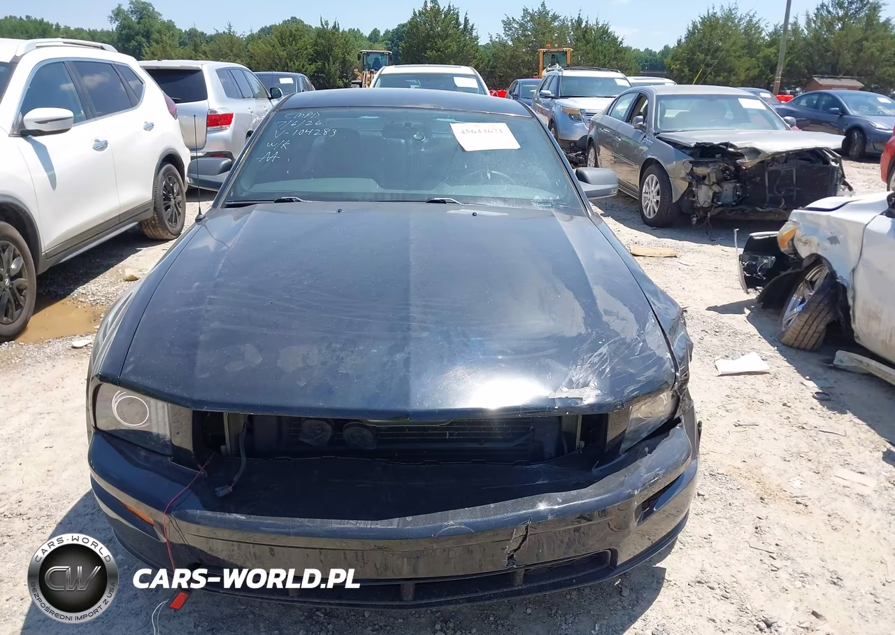 2005 Ford Mustang Gt Deluxe-Gt Premium VIN:1ZVFT82H555104283 - 12