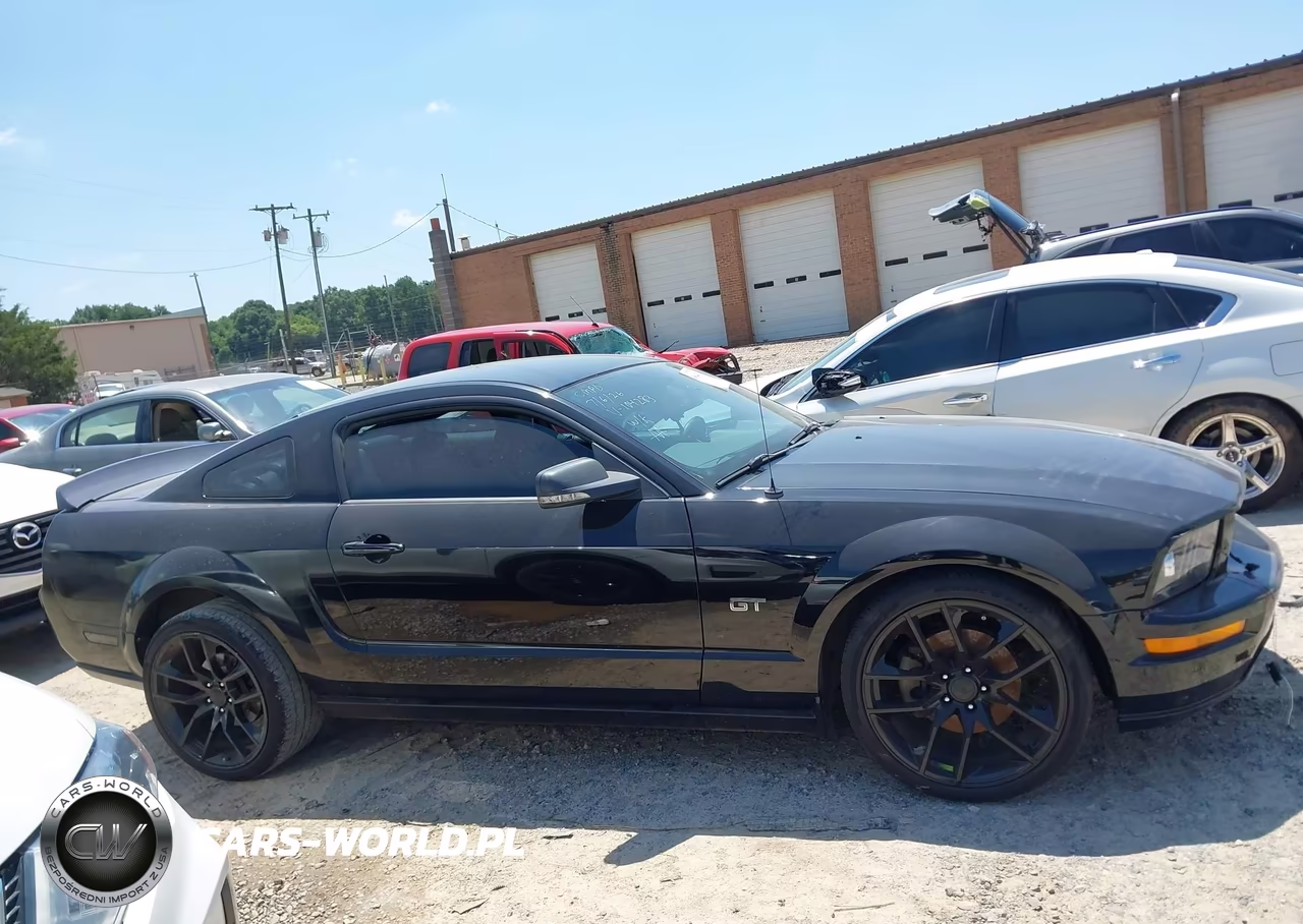 2005 Ford Mustang Gt Deluxe-Gt Premium VIN:1ZVFT82H555104283 - 13