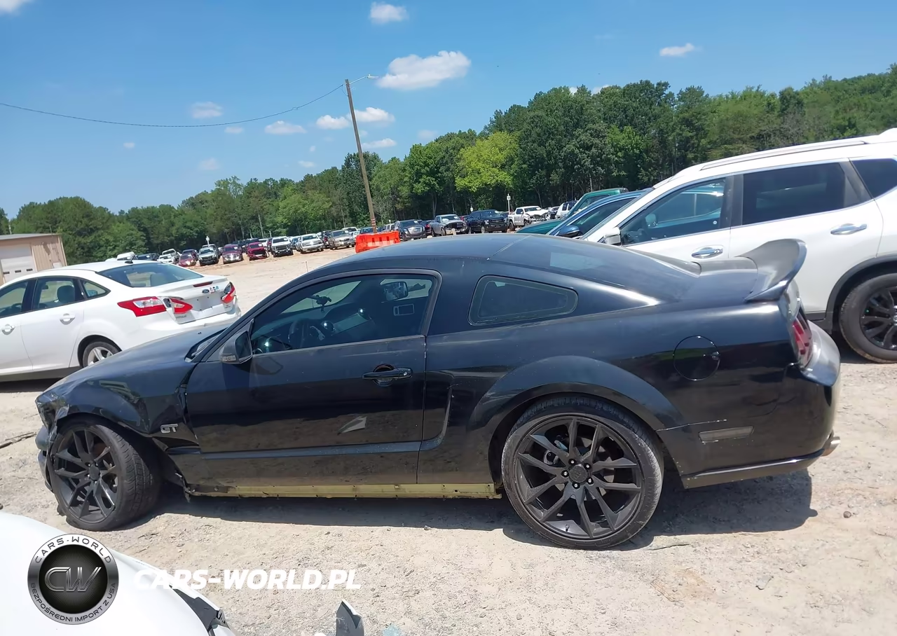 2005 Ford Mustang Gt Deluxe-Gt Premium VIN:1ZVFT82H555104283 - 14