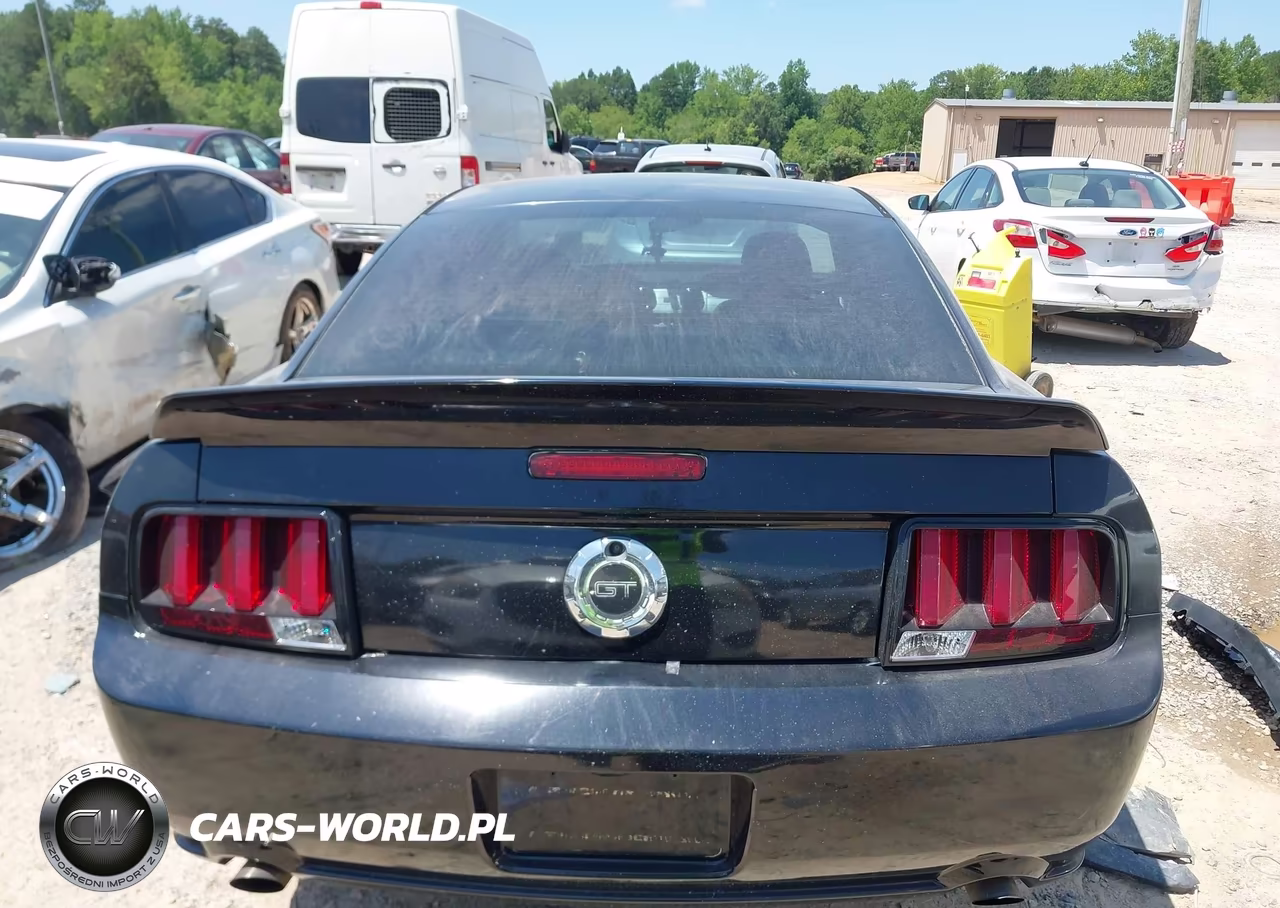 2005 Ford Mustang Gt Deluxe-Gt Premium VIN:1ZVFT82H555104283 - 16