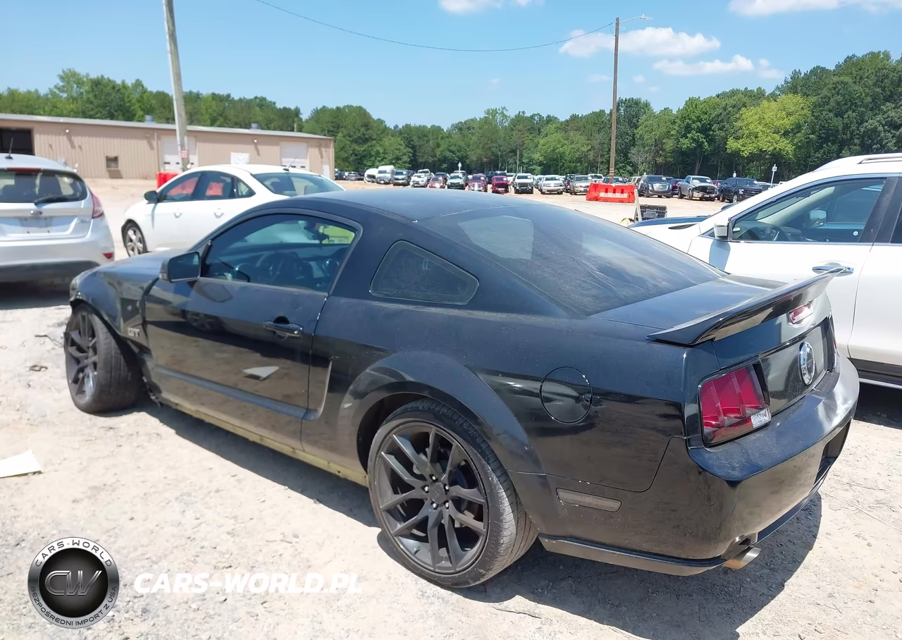 2005 Ford Mustang Gt Deluxe-Gt Premium VIN:1ZVFT82H555104283 - 3