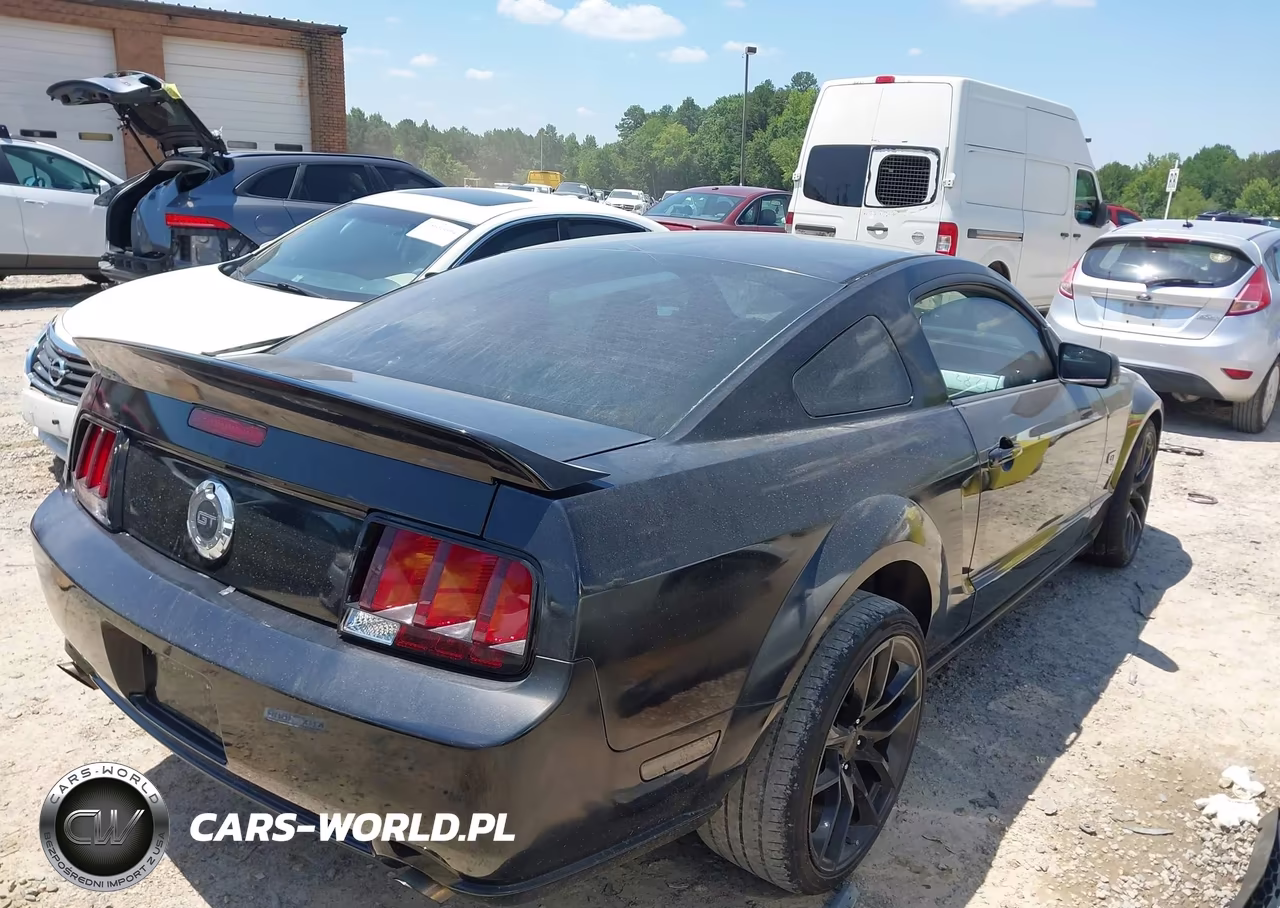 2005 Ford Mustang Gt Deluxe-Gt Premium VIN:1ZVFT82H555104283 - 4