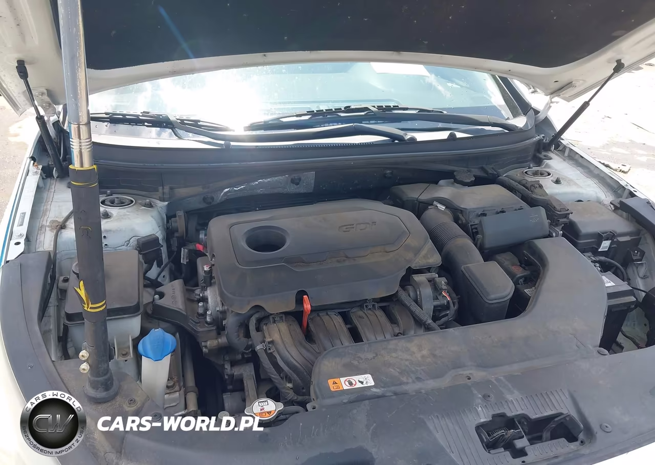 2016 Hyundai Sonata Se VIN:5NPE24AF2GH312179 - 10