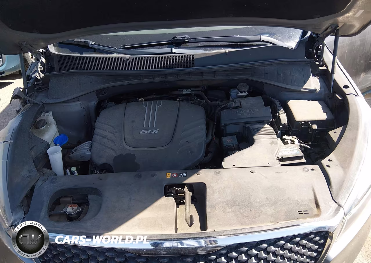2017 Kia Sorento 3.3L Lx VIN:5XYPGDA50HG207909 - 10