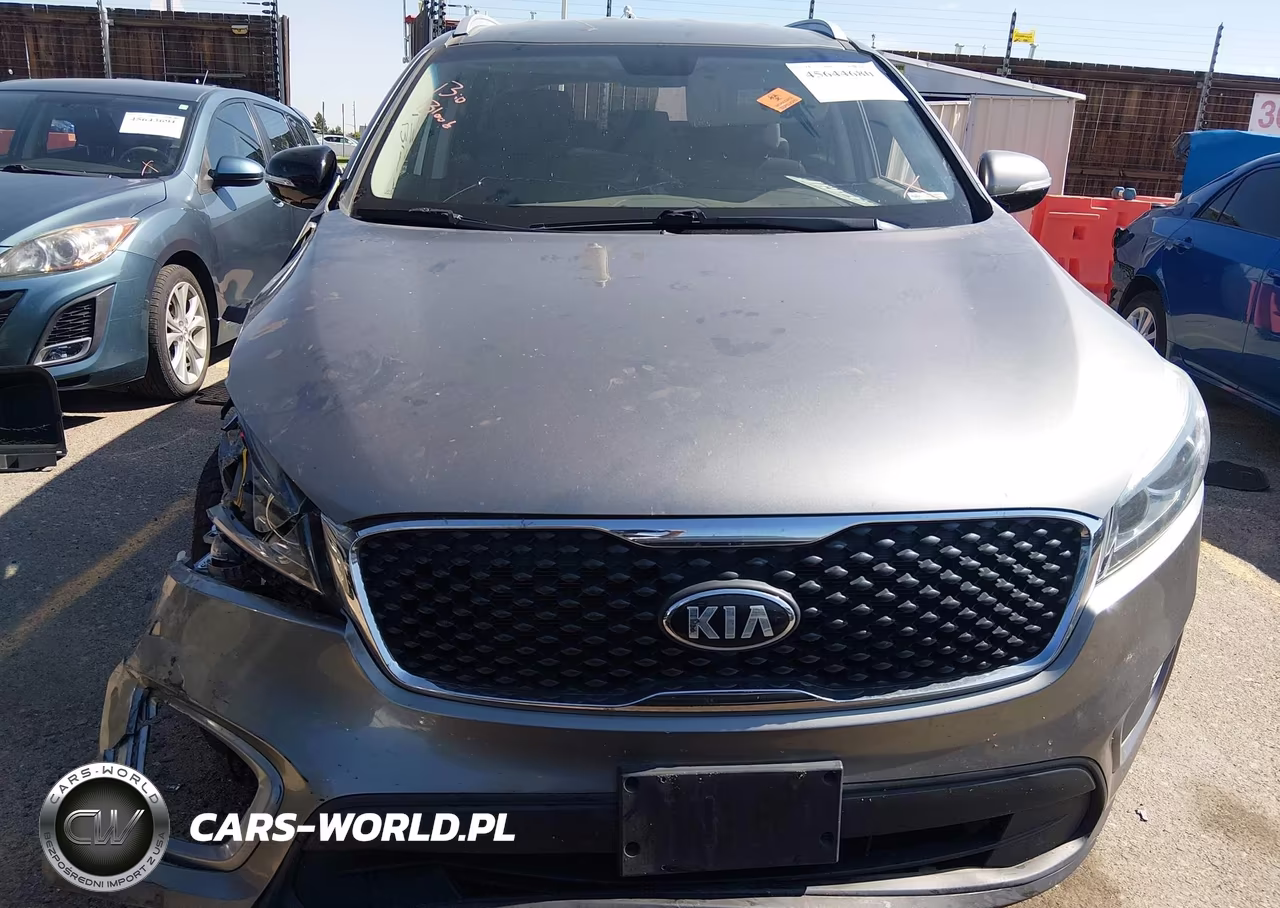 2017 Kia Sorento 3.3L Lx VIN:5XYPGDA50HG207909 - 12