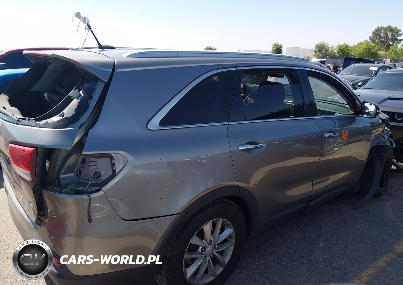 2017 Kia Sorento 3.3L Lx VIN:5XYPGDA50HG207909 - 13