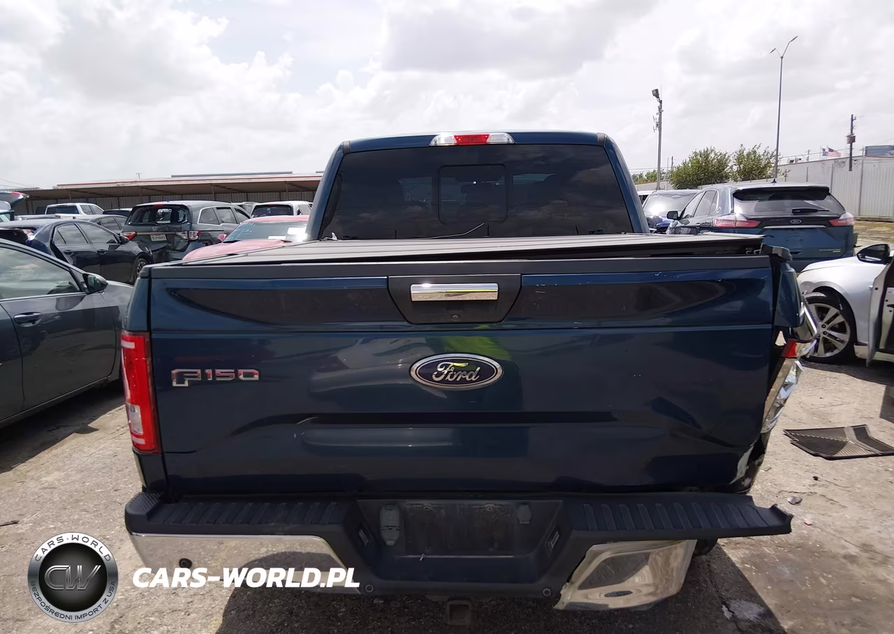 2015 Ford F-150 Xlt VIN:1FTEW1CP0FKE23712 - 16