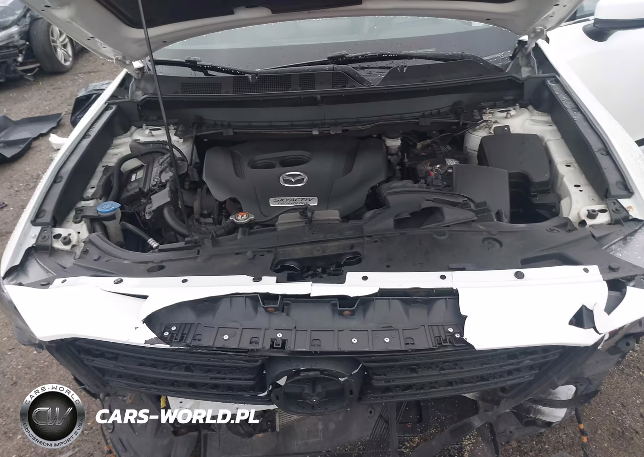 2018 Mazda Cx-9 Grand Touring VIN:JM3TCBDYXJ0217810 - 10
