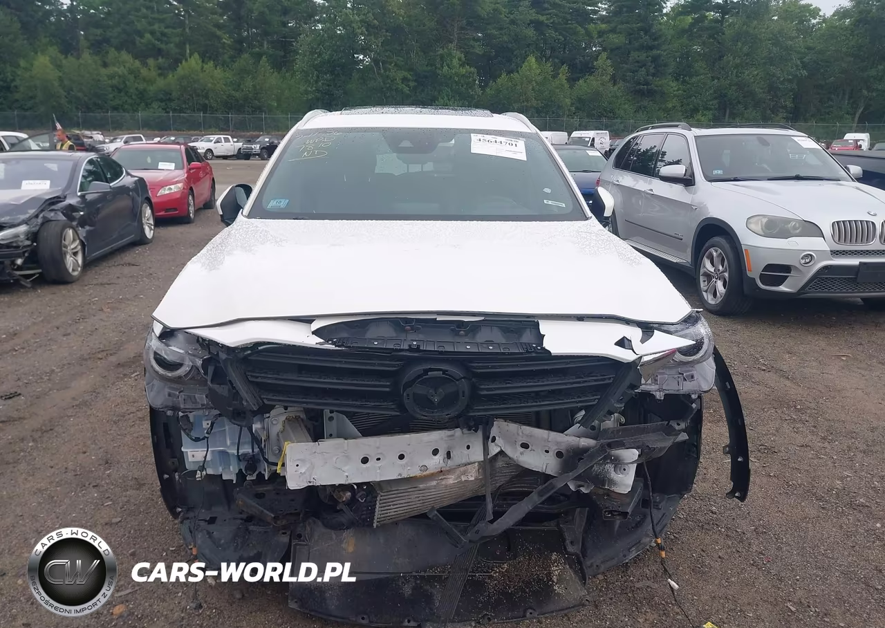 2018 Mazda Cx-9 Grand Touring VIN:JM3TCBDYXJ0217810 - 13