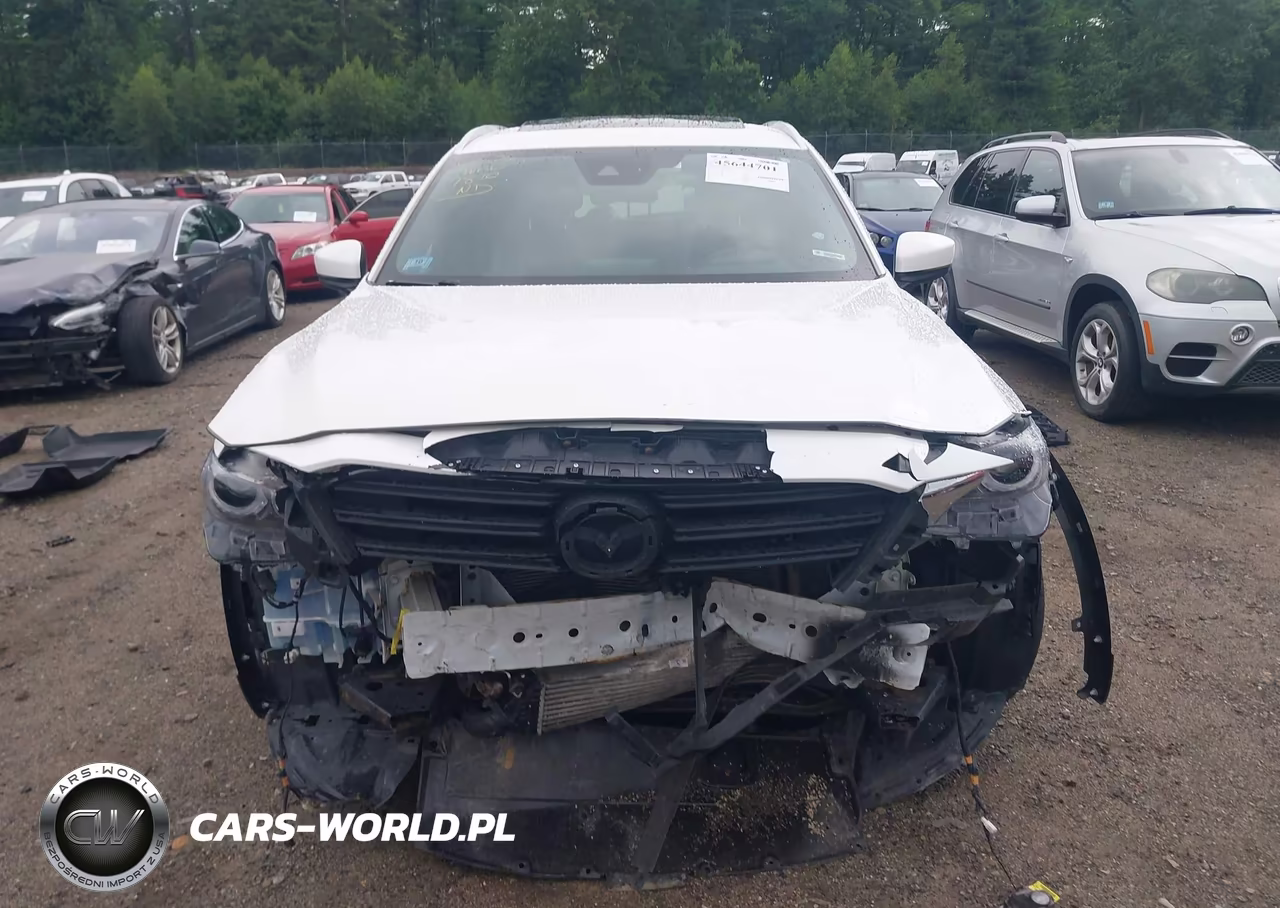 2018 Mazda Cx-9 Grand Touring VIN:JM3TCBDYXJ0217810 - 6
