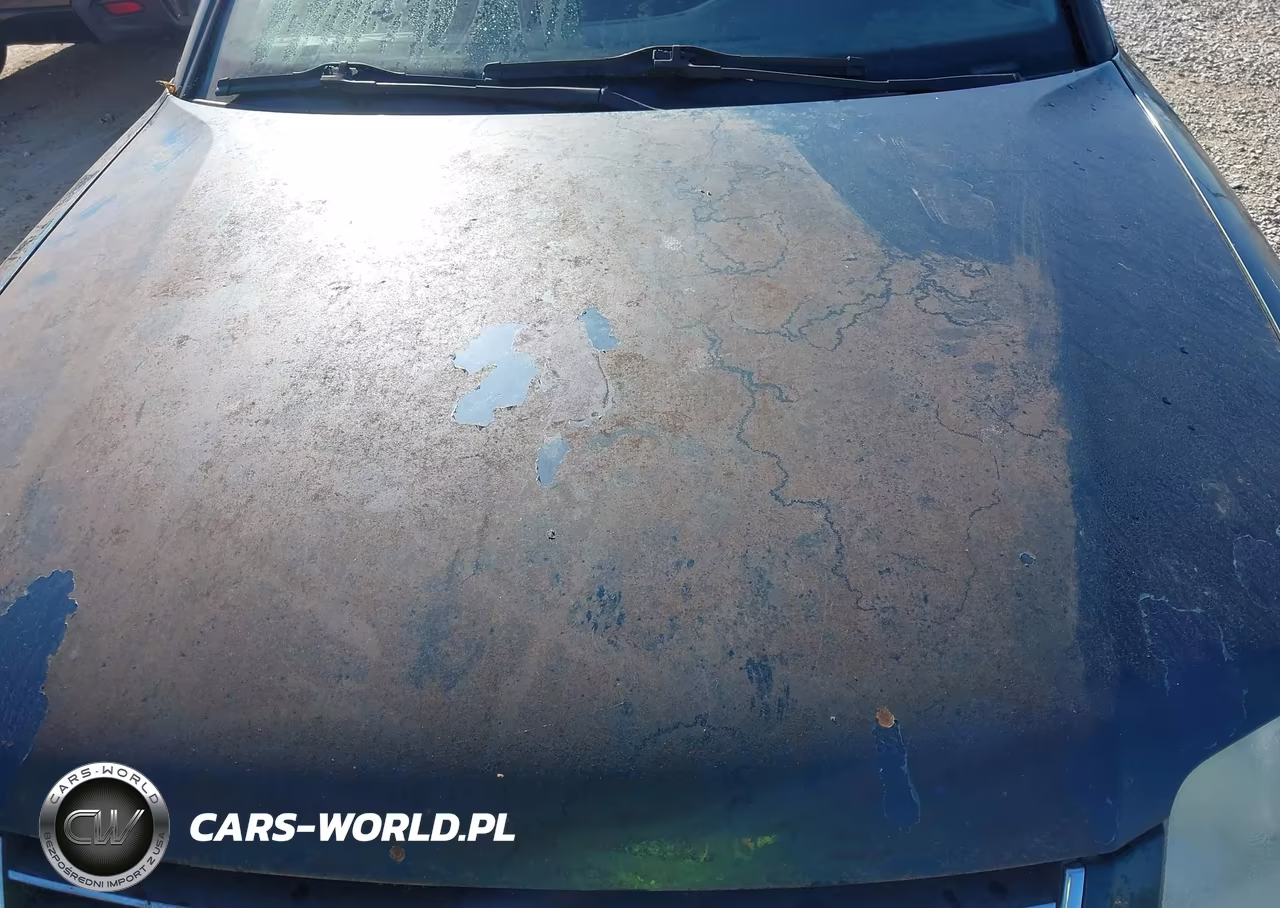 2002 Volkswagen Passat Gls VIN:WVWVD63B02E382157 - 12
