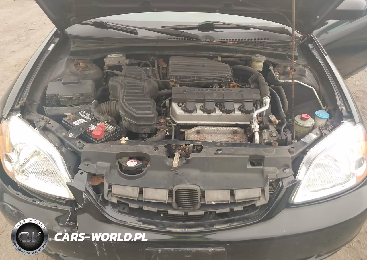 2003 Honda Civic Lx VIN:1HGEM22503L039691 - 10