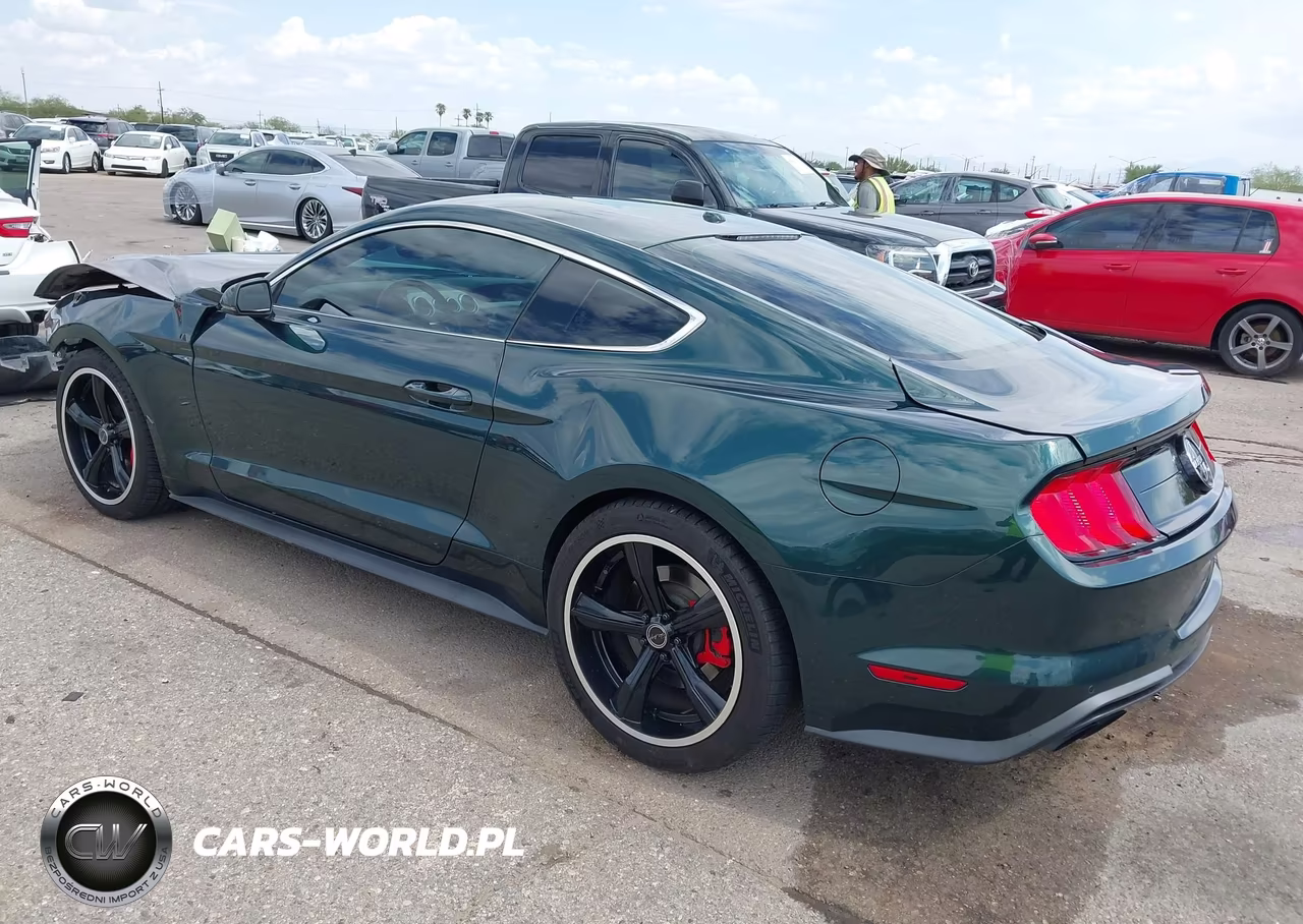 2019 Ford Mustang Bullitt VIN:1FA6P8K05K5503665 - 3