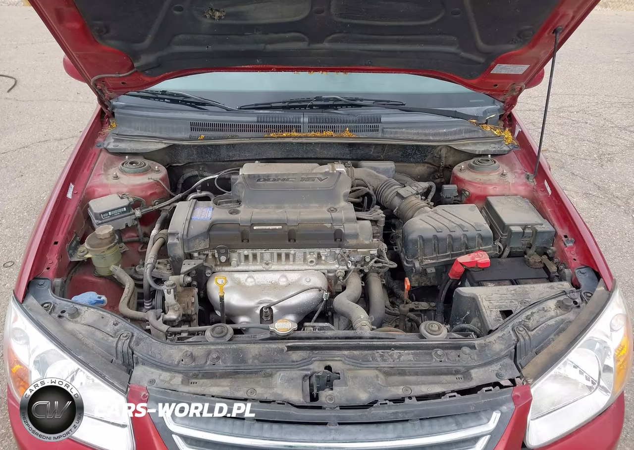 2009 Kia Spectra Ex VIN:KNAFE222195641998 - 10