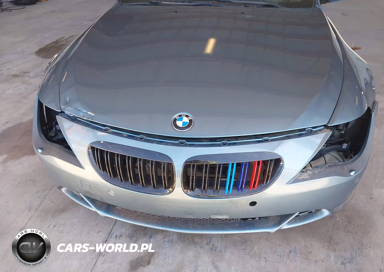 2006 BMW 650I VIN:WBAEK13416CN75796 - 6