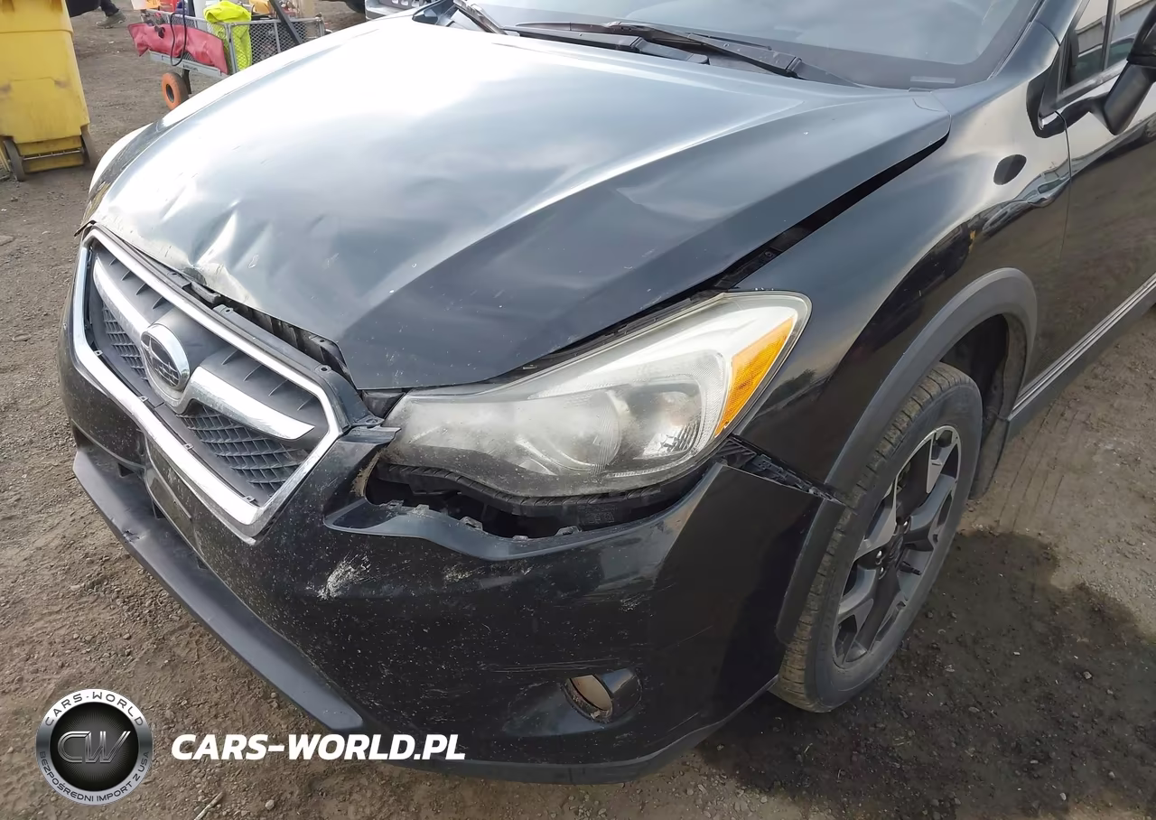 2013 Subaru Xv Crosstrek 2.0I Premium VIN:JF2GPAVC1D2900579 - 17