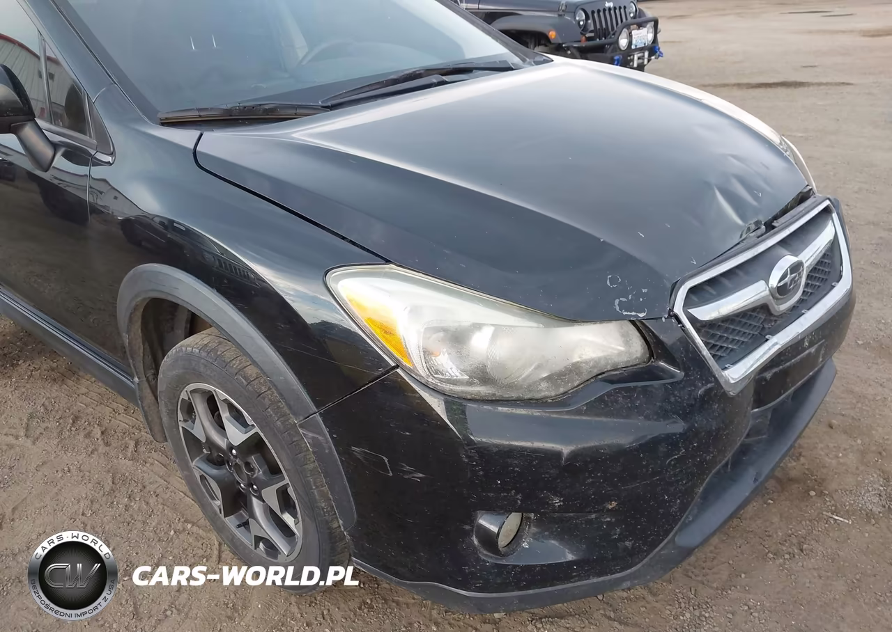 2013 Subaru Xv Crosstrek 2.0I Premium VIN:JF2GPAVC1D2900579 - 18