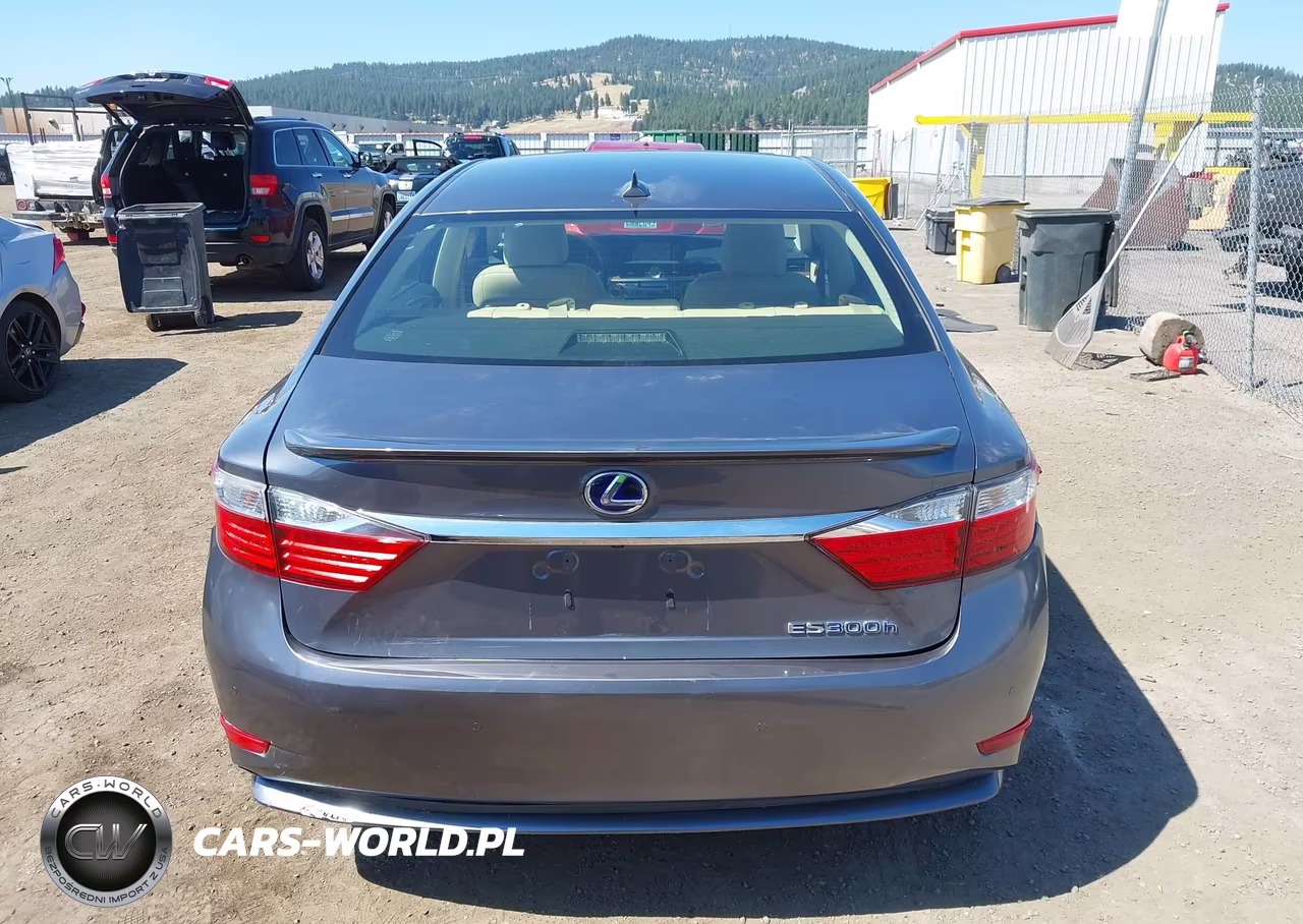 2013 Lexus Es 300H VIN:JTHBW1GG1D2028351 - 17