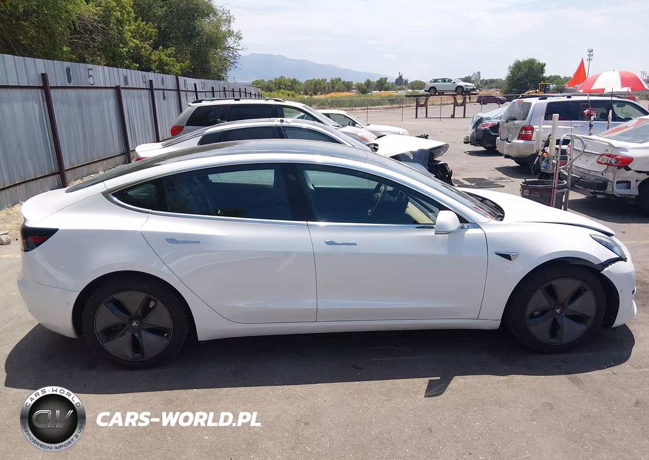 2019 Tesla Model 3 Long Range-Mid Range-Standard Range-Standard Range Plus VIN:5YJ3E1EA7KF464574 - 12