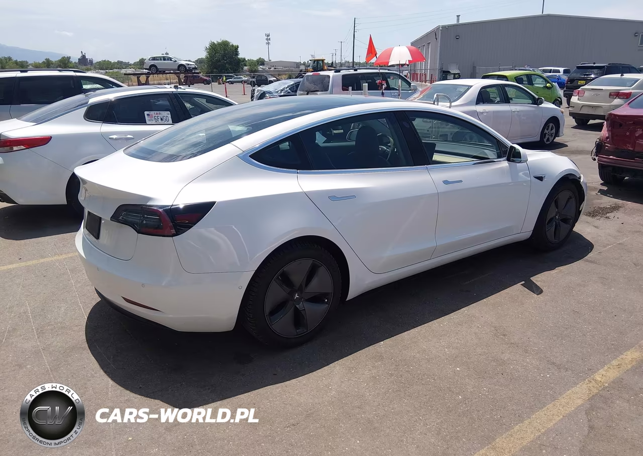 2019 Tesla Model 3 Long Range-Mid Range-Standard Range-Standard Range Plus VIN:5YJ3E1EA7KF464574 - 4