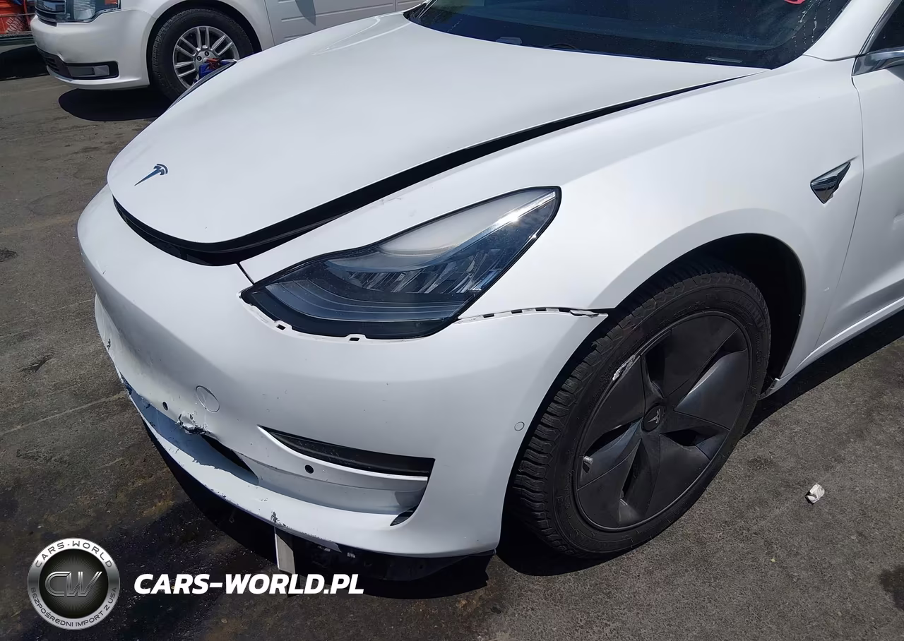2019 Tesla Model 3 Long Range-Mid Range-Standard Range-Standard Range Plus VIN:5YJ3E1EA7KF464574 - 6