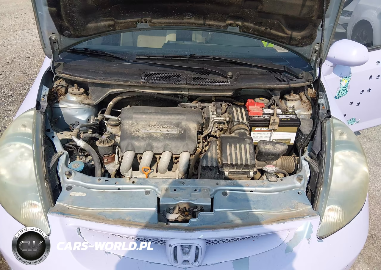 2007 Honda Fit VIN:JHMGD38477S045073 - 10