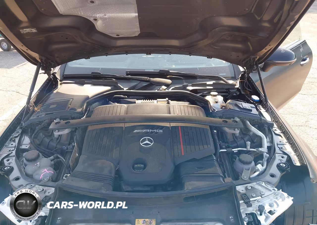 2024 Mercedes-Benz Amg Cle 53 VIN:W1KMJ6CB1RF033846 - 10