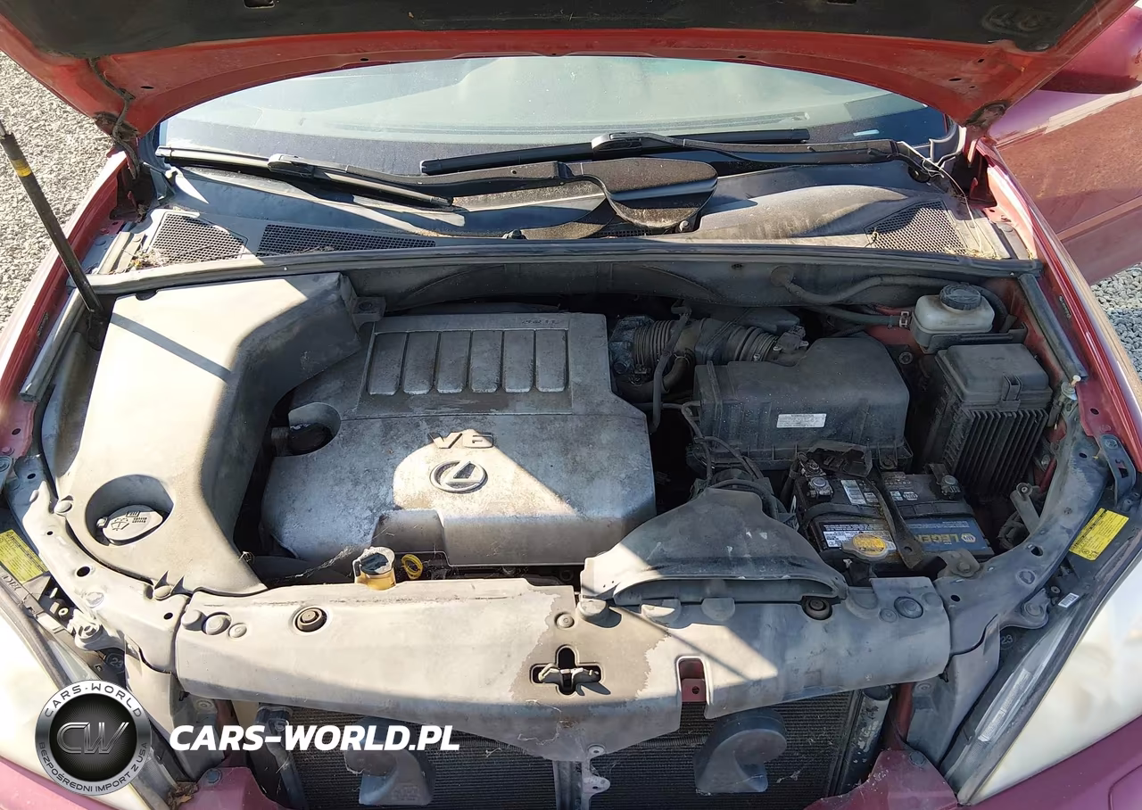 2009 Lexus Rx 350 VIN:JTJHK31U992052628 - 10