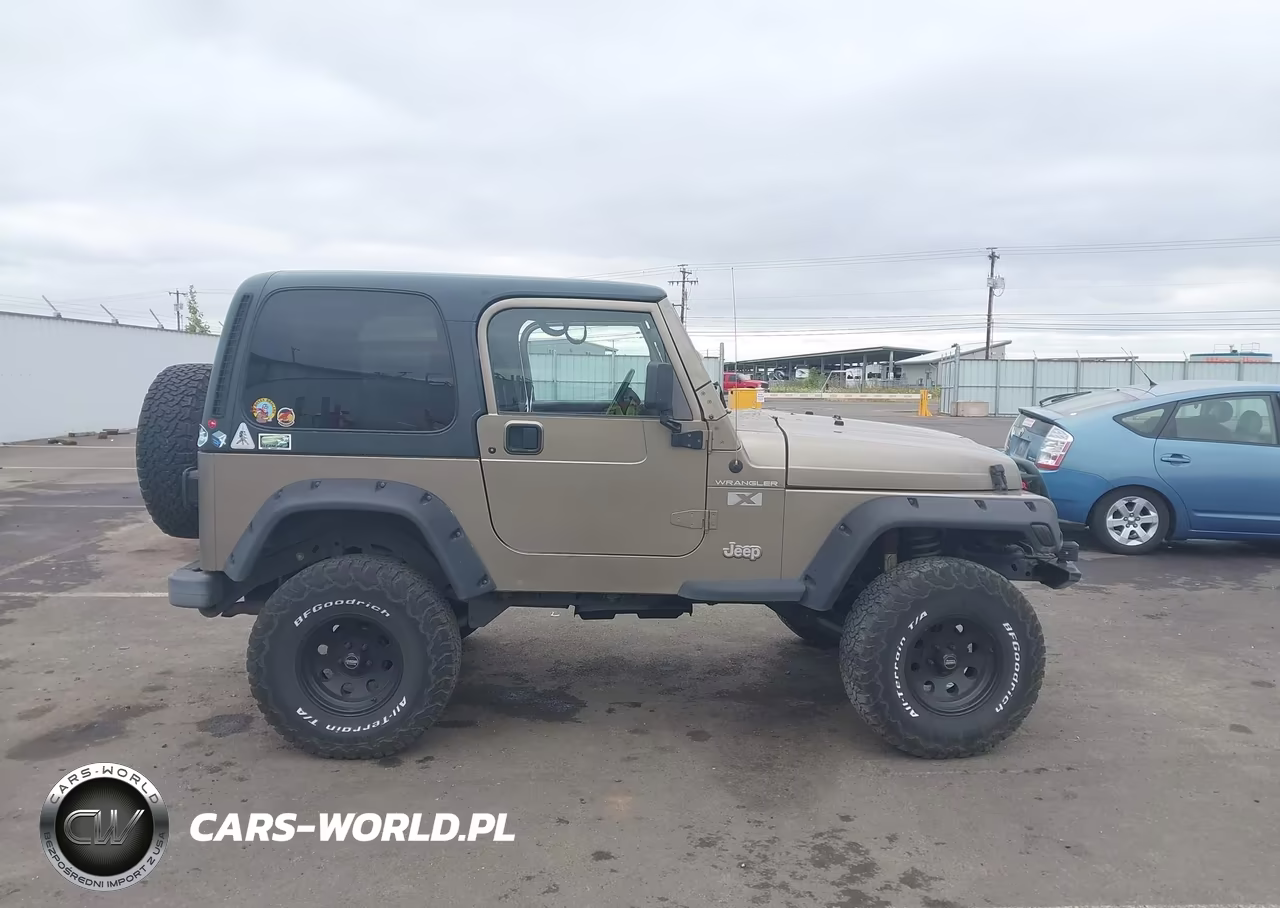2002 Jeep Wrangler X VIN:1J4FA39S42P769795 - 13