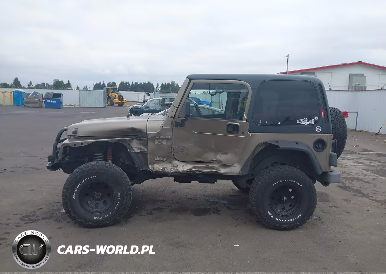 2002 Jeep Wrangler X VIN:1J4FA39S42P769795 - 14
