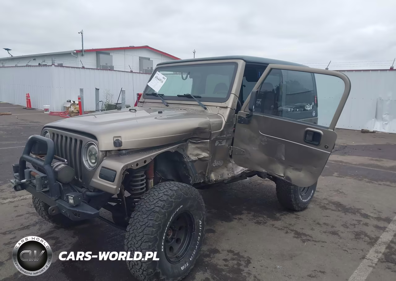 2002 Jeep Wrangler X VIN:1J4FA39S42P769795 - 17