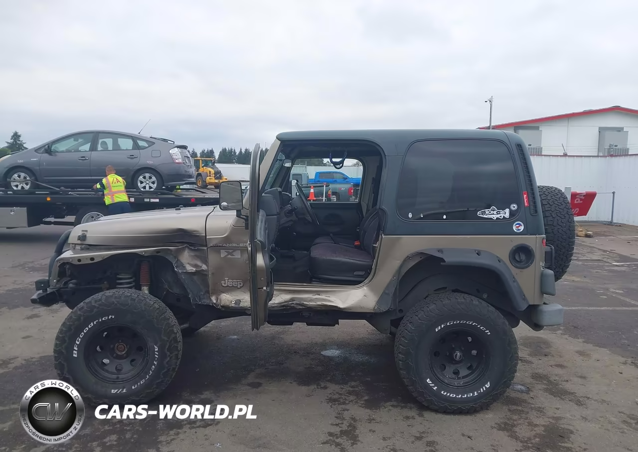 2002 Jeep Wrangler X VIN:1J4FA39S42P769795 - 18