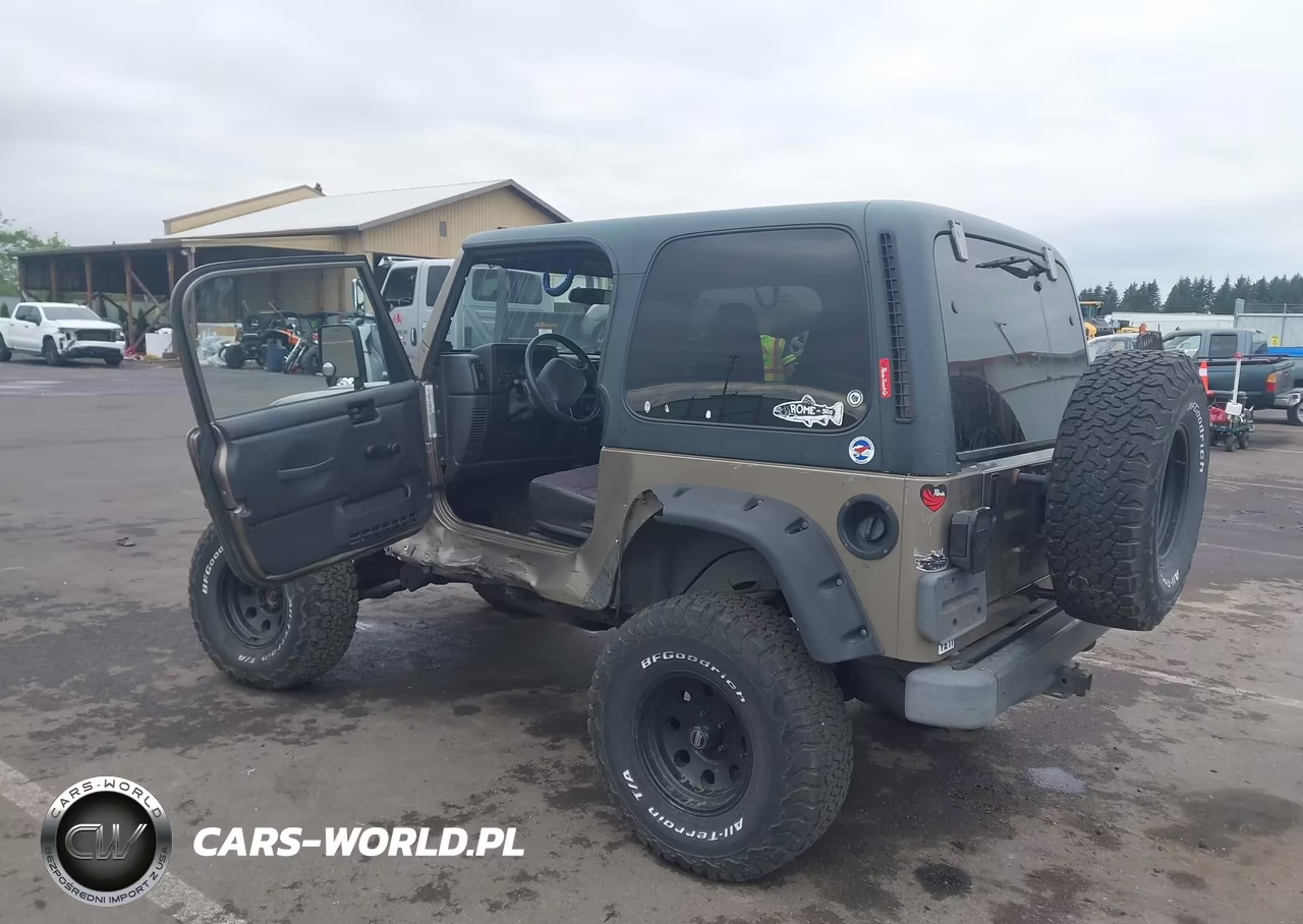 2002 Jeep Wrangler X VIN:1J4FA39S42P769795 - 19
