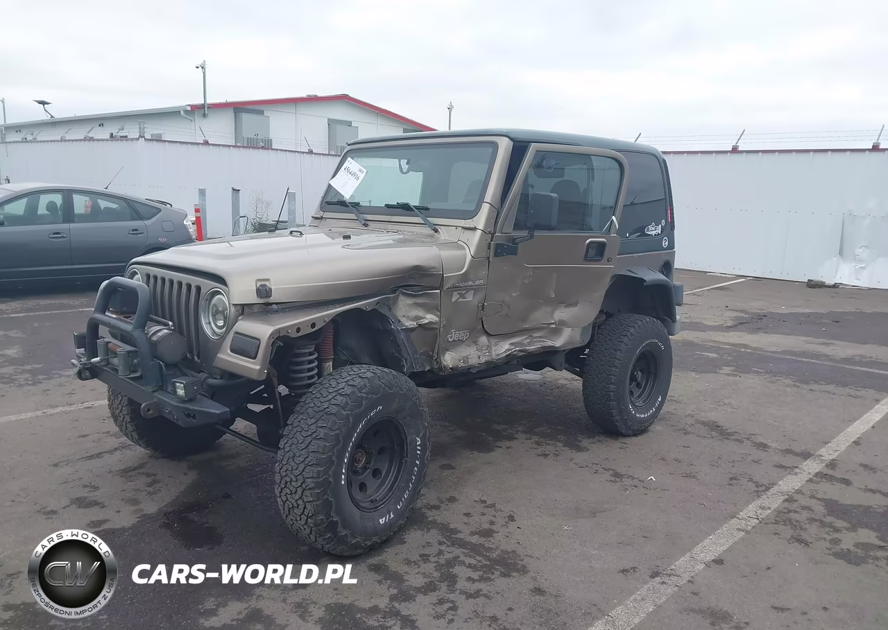 2002 Jeep Wrangler X VIN:1J4FA39S42P769795 - 2