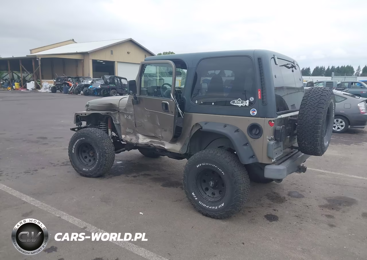 2002 Jeep Wrangler X VIN:1J4FA39S42P769795 - 3