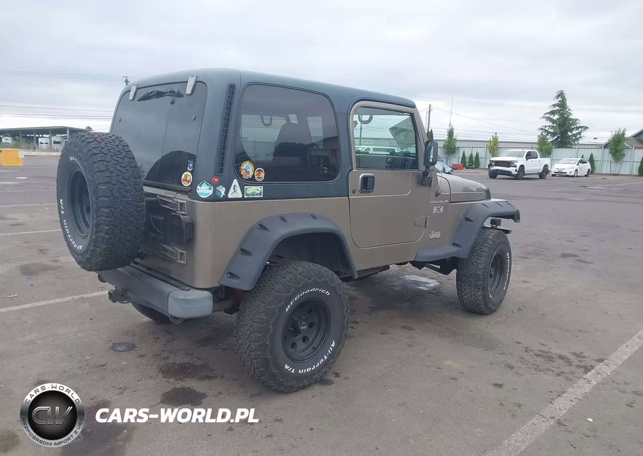 2002 Jeep Wrangler X VIN:1J4FA39S42P769795 - 4