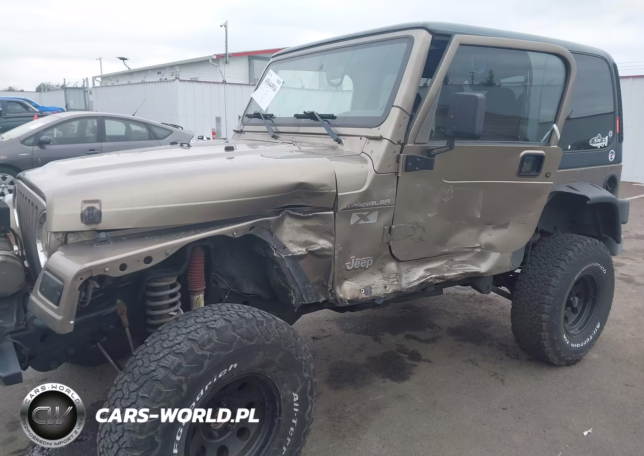 2002 Jeep Wrangler X VIN:1J4FA39S42P769795 - 6