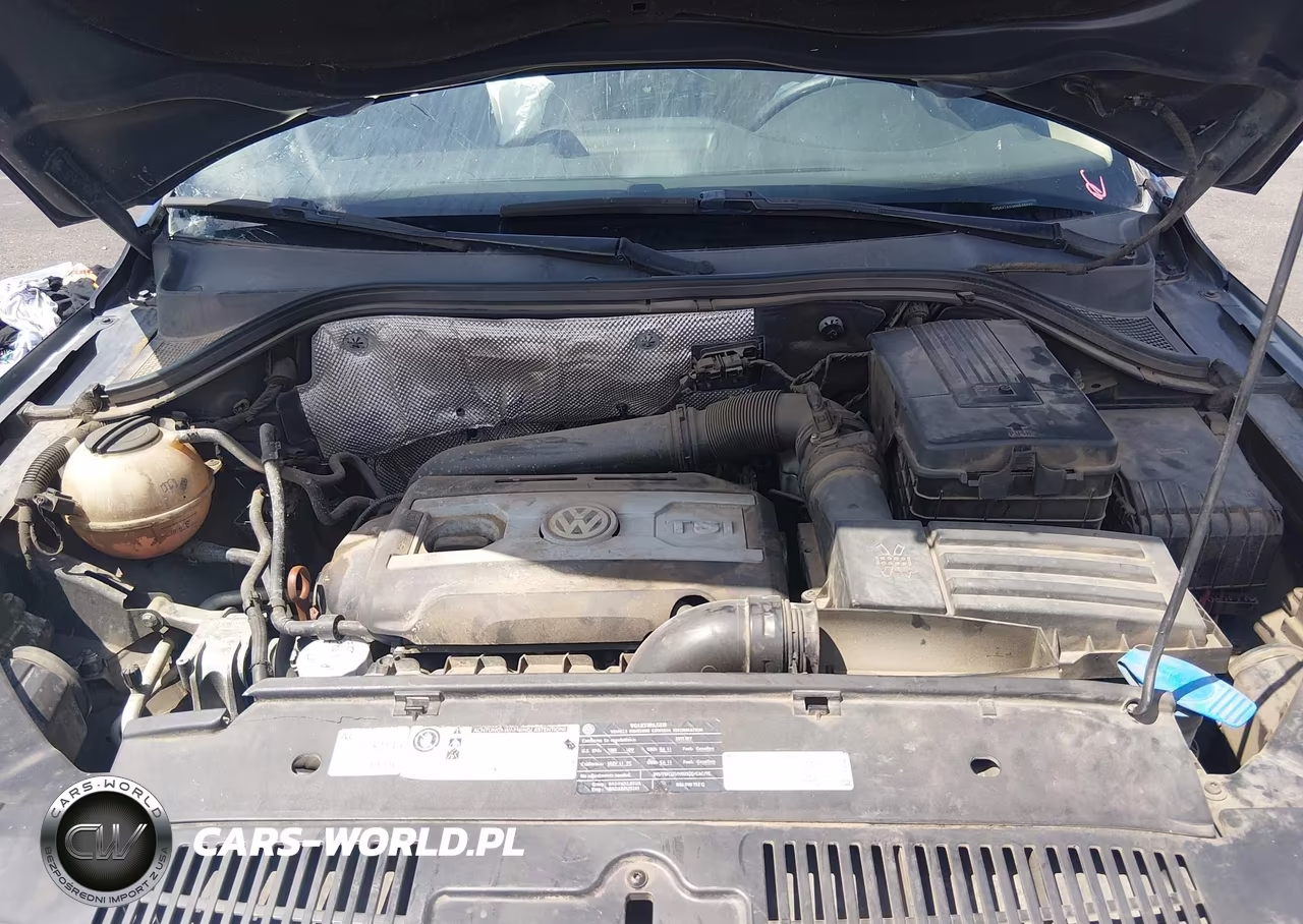 2011 Volkswagen Tiguan Se VIN:WVGAV7AX3BW546037 - 10